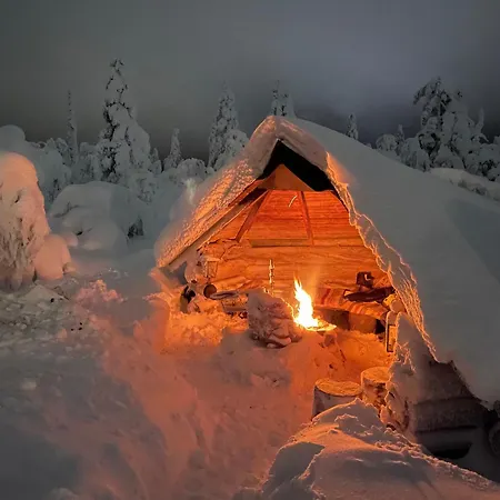 Auroras By Kaltios, Kaltionkuusi * Levi