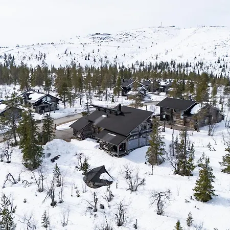 Auroras By Kaltios, Kaltionkuusi