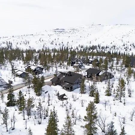 Auroras By Kaltios, Kaltionkuusi *