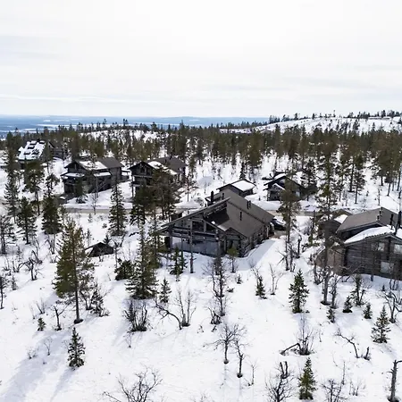 Auroras By Kaltios, Kaltionkuusi *