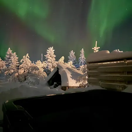 Auroras By Kaltios, Kaltionkuusi *